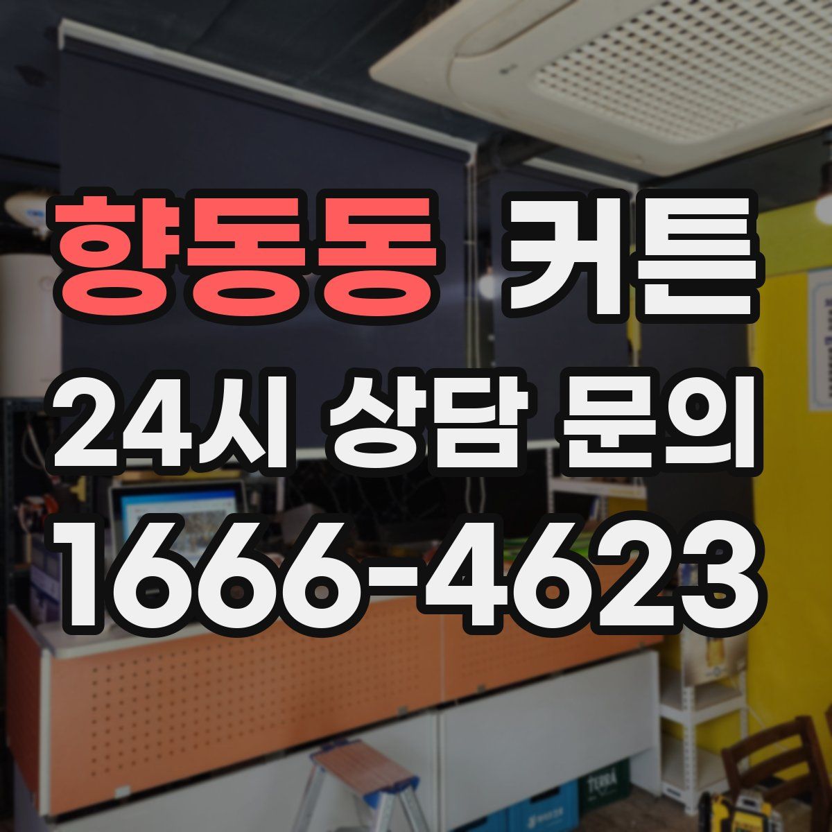 향동동 커튼
