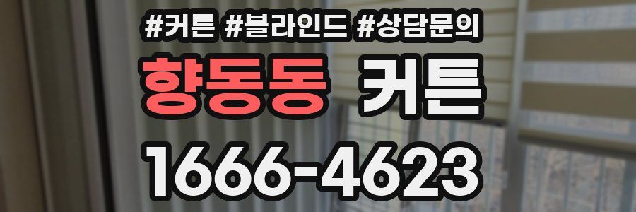 향동동 커튼