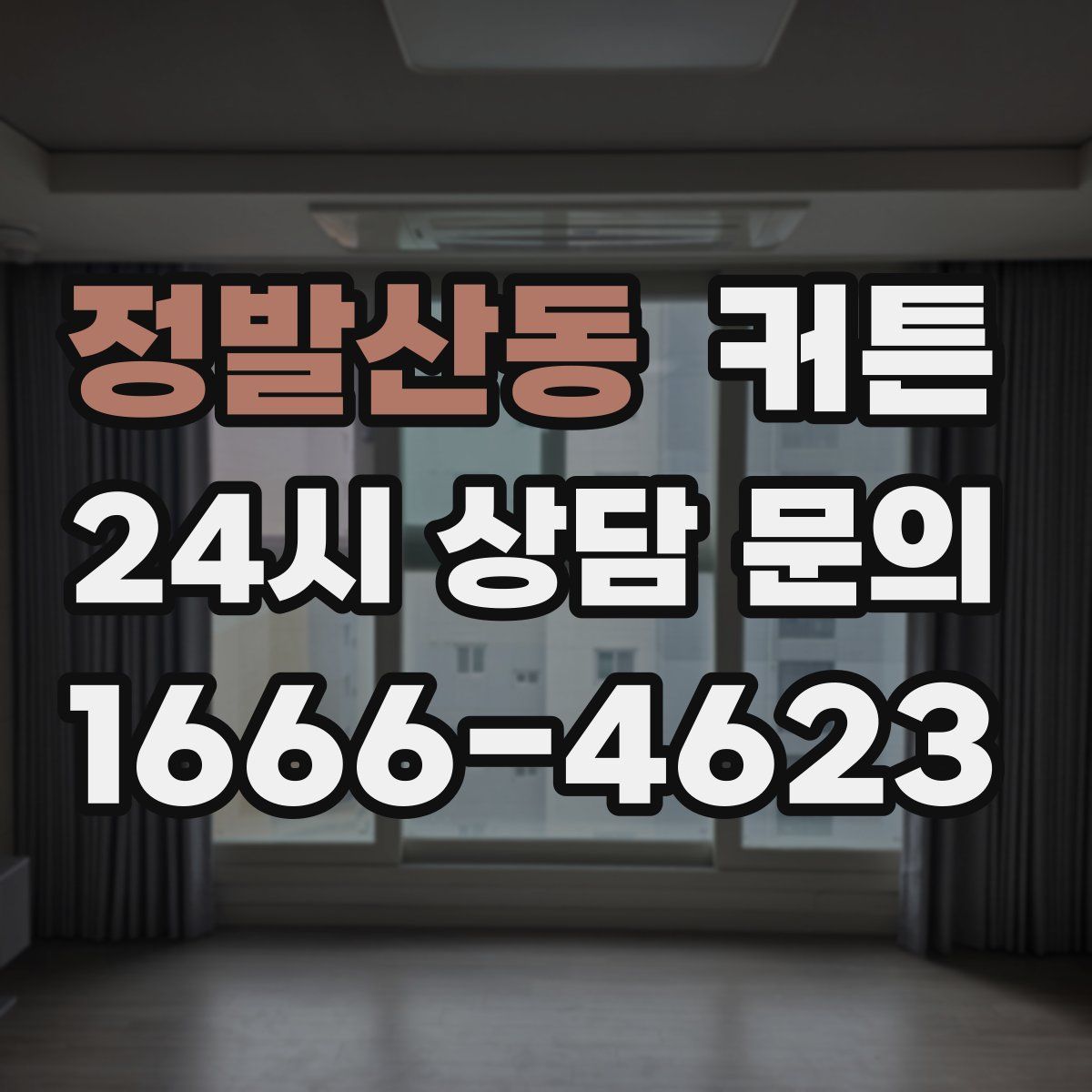 정발산동 커튼