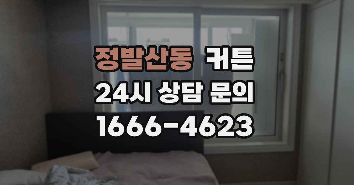 정발산동 커튼