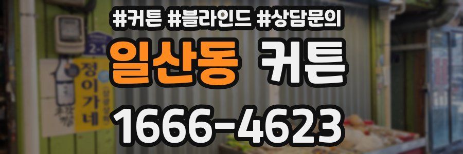 일산동 커튼
