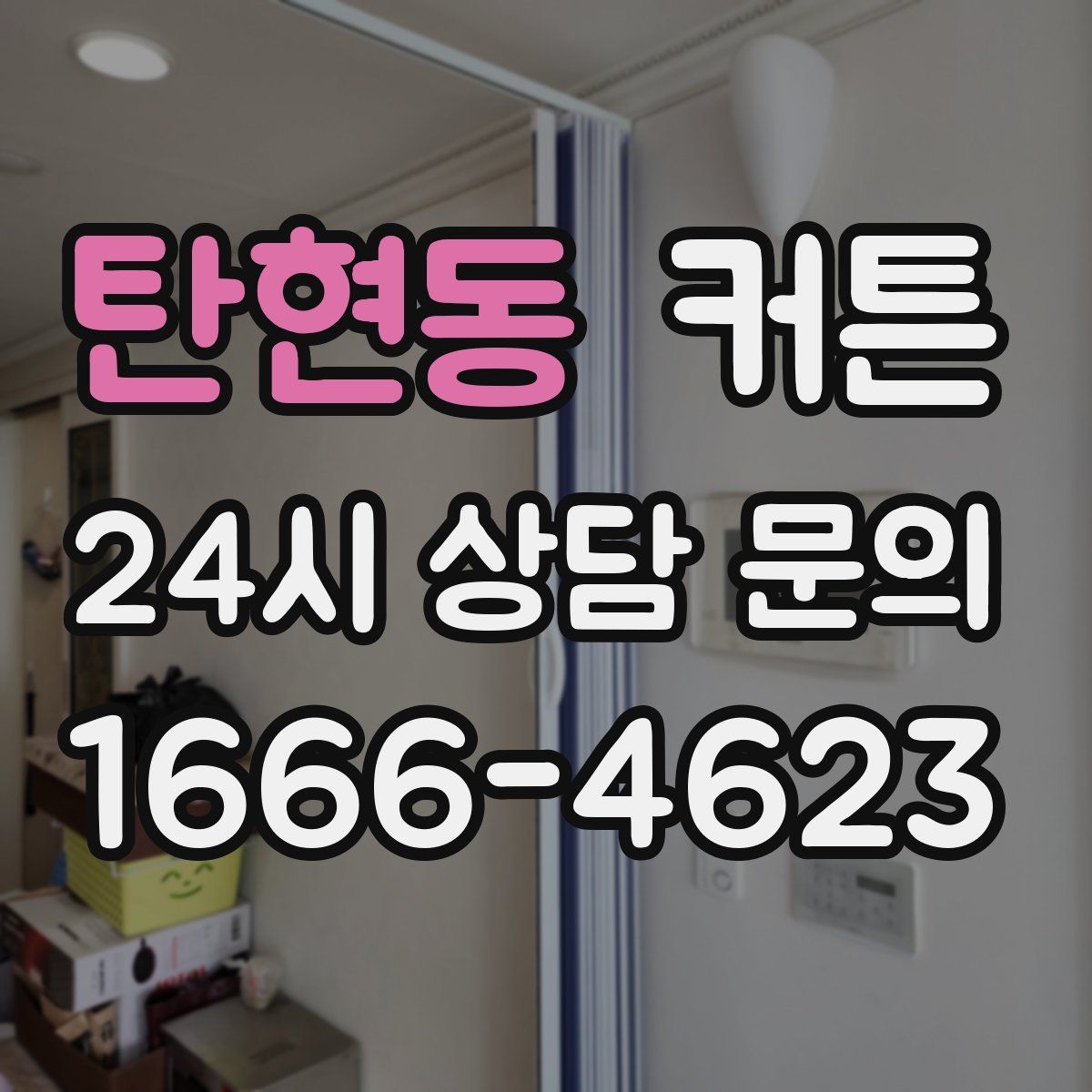 탄현동 커튼
