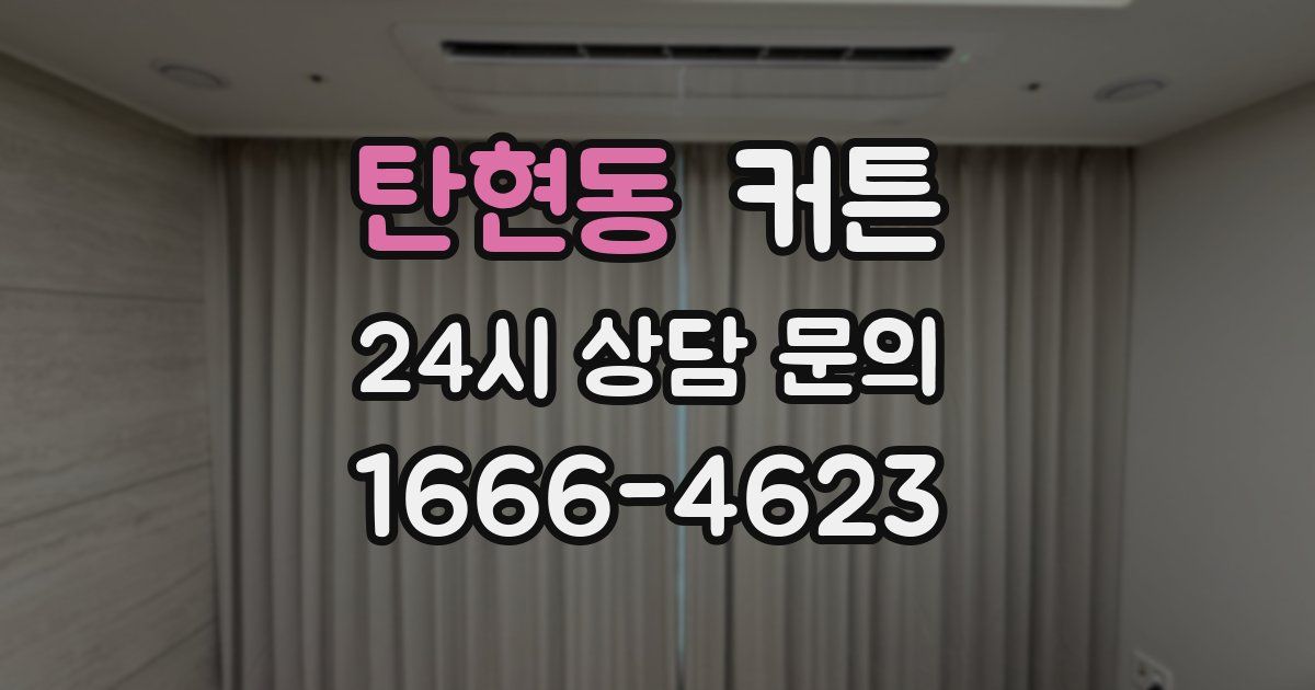 탄현동 커튼