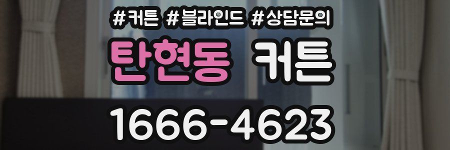 탄현동 커튼