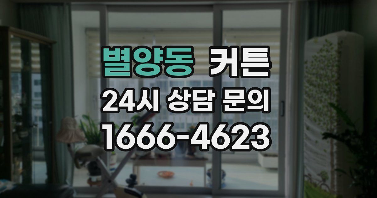 별양동 커튼