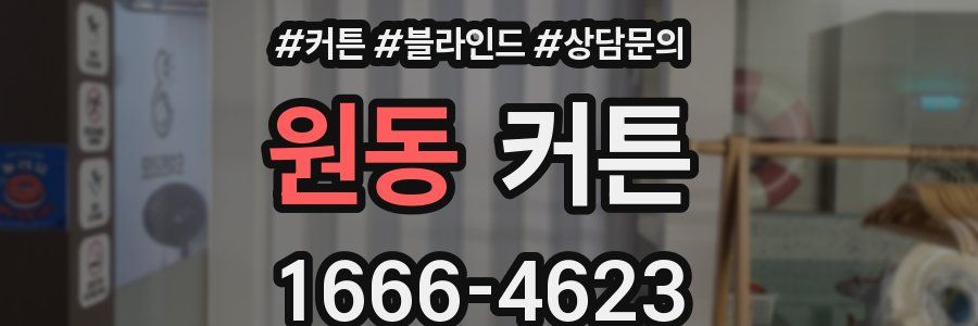 원동 커튼