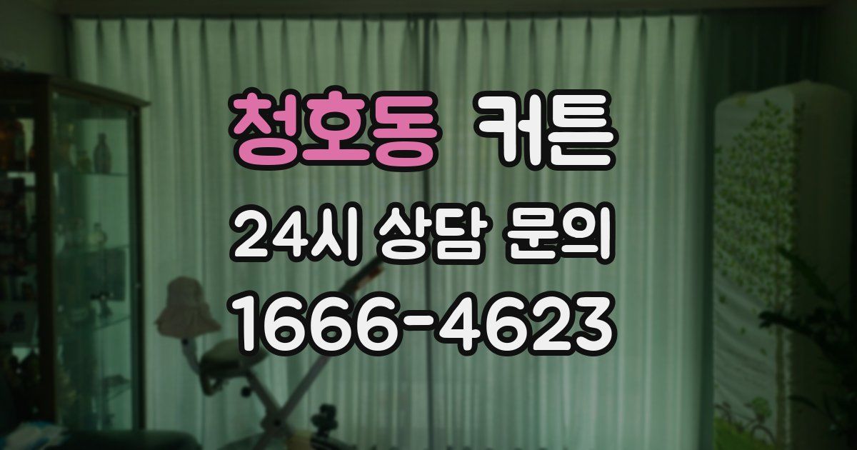 청호동 커튼