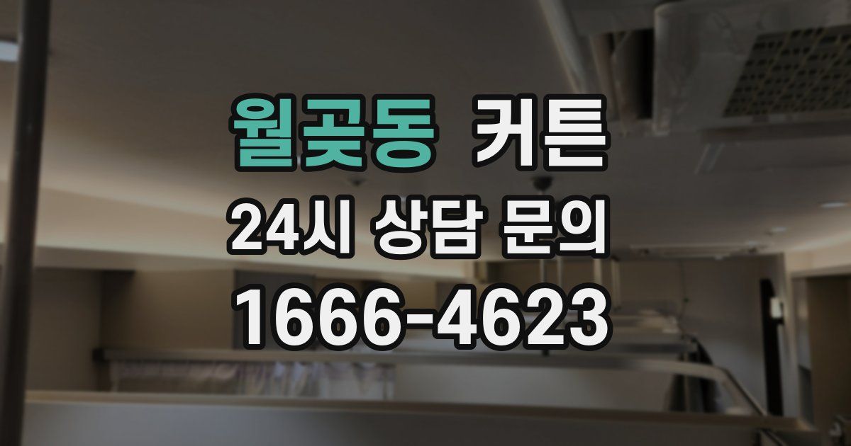 월곶동 커튼