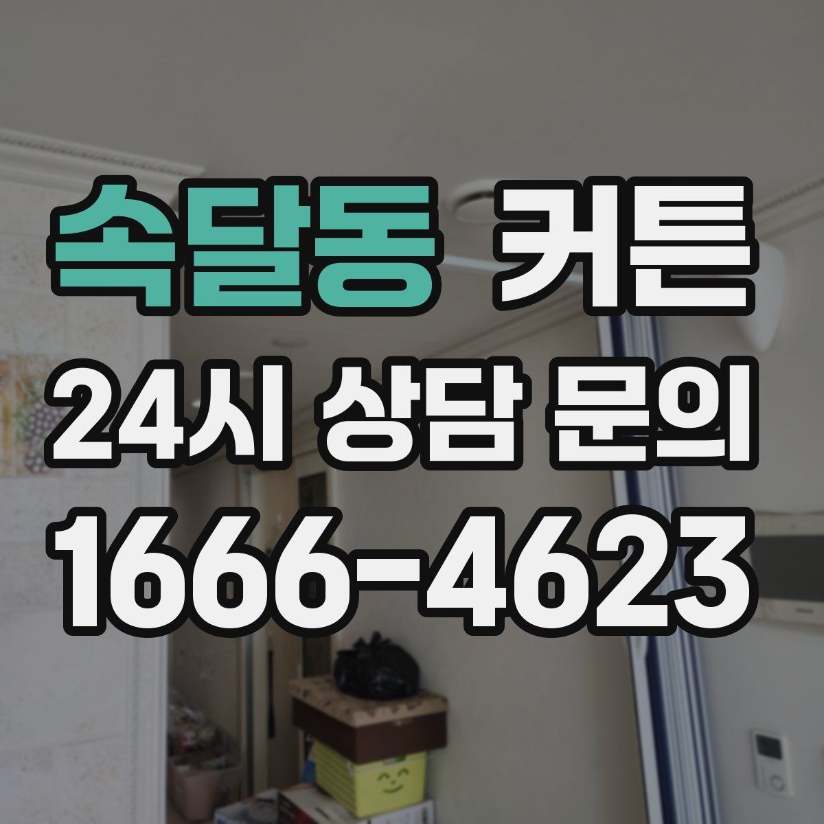 속달동 커튼