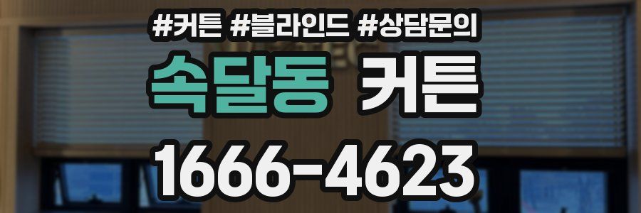 속달동 커튼