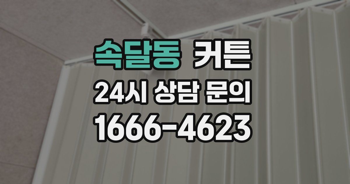 속달동 커튼
