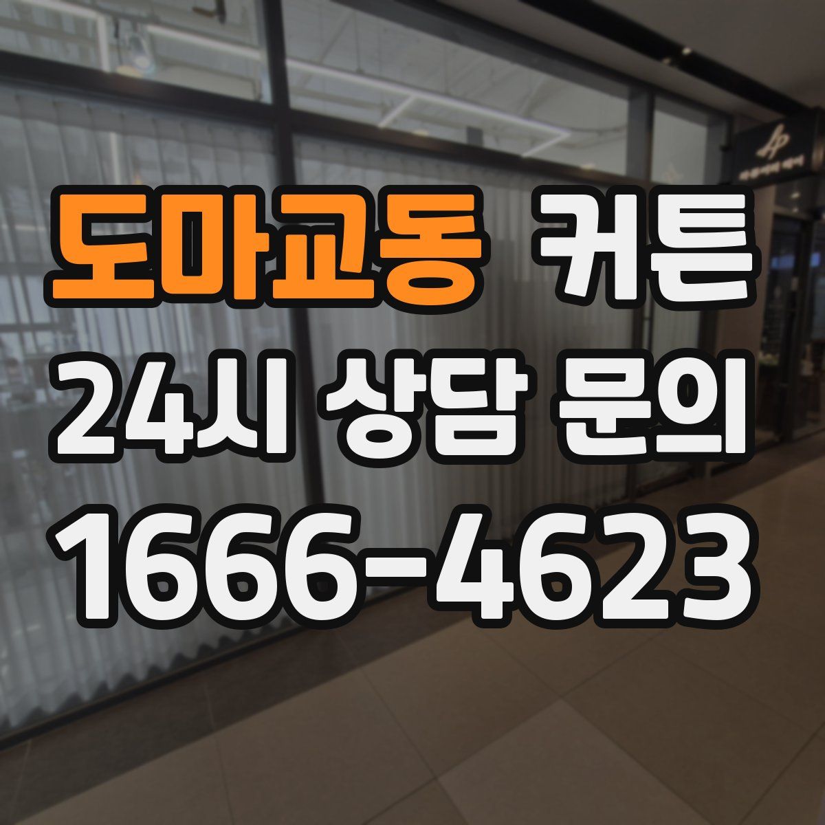 도마교동 커튼