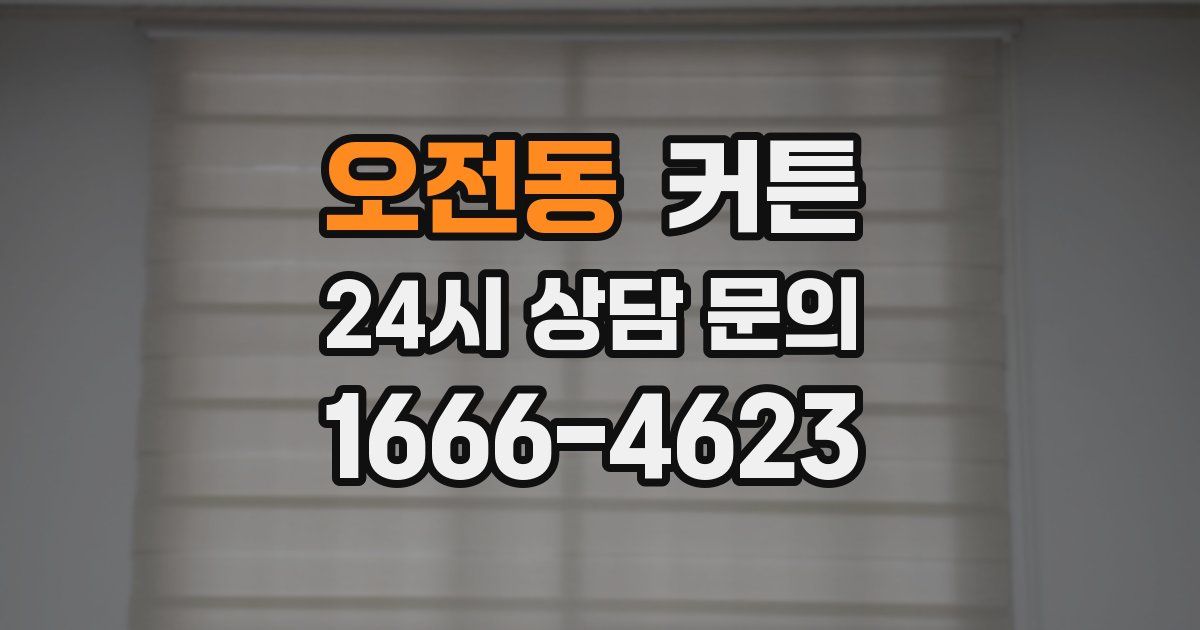 오전동 커튼