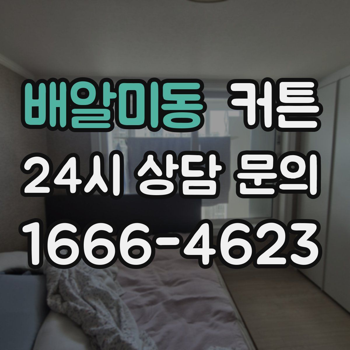 배알미동 커튼