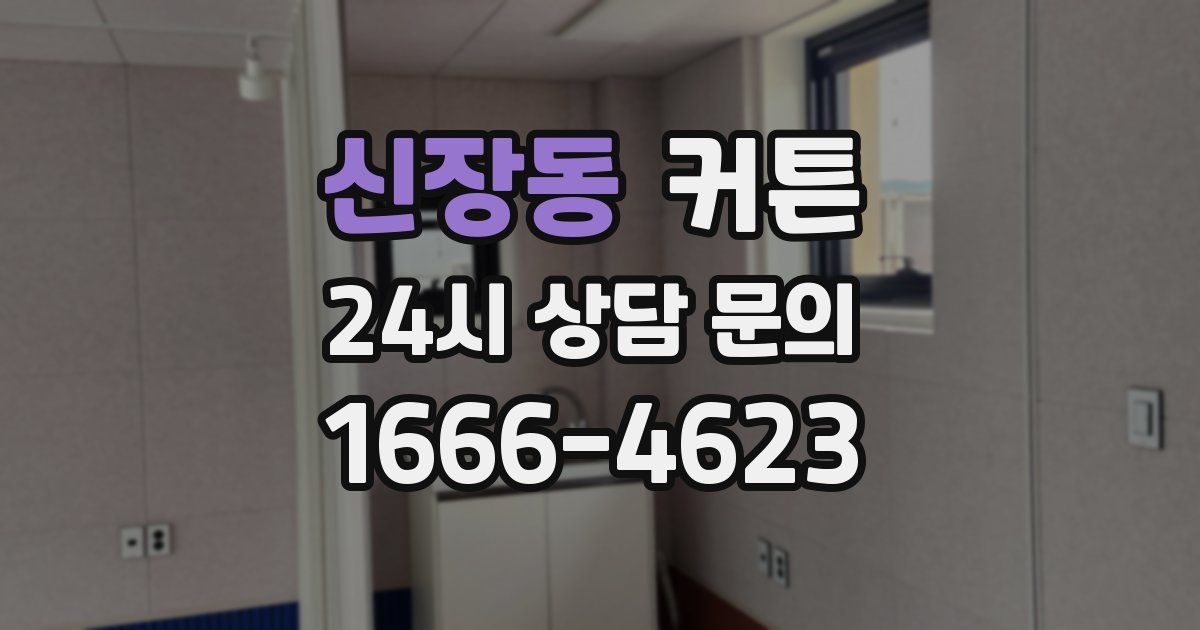 신장동 커튼
