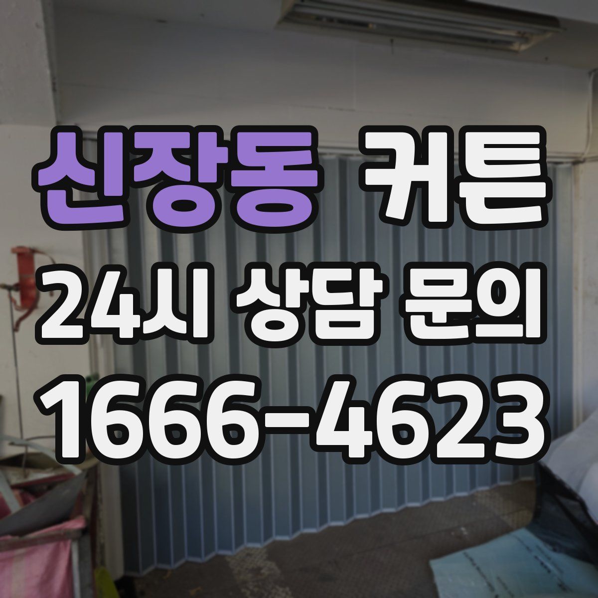 신장동 커튼