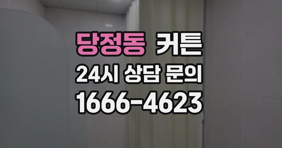 당정동 커튼