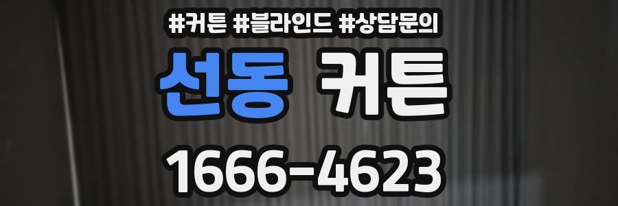 선동 커튼