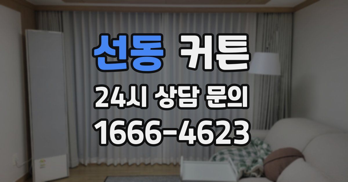 선동 커튼