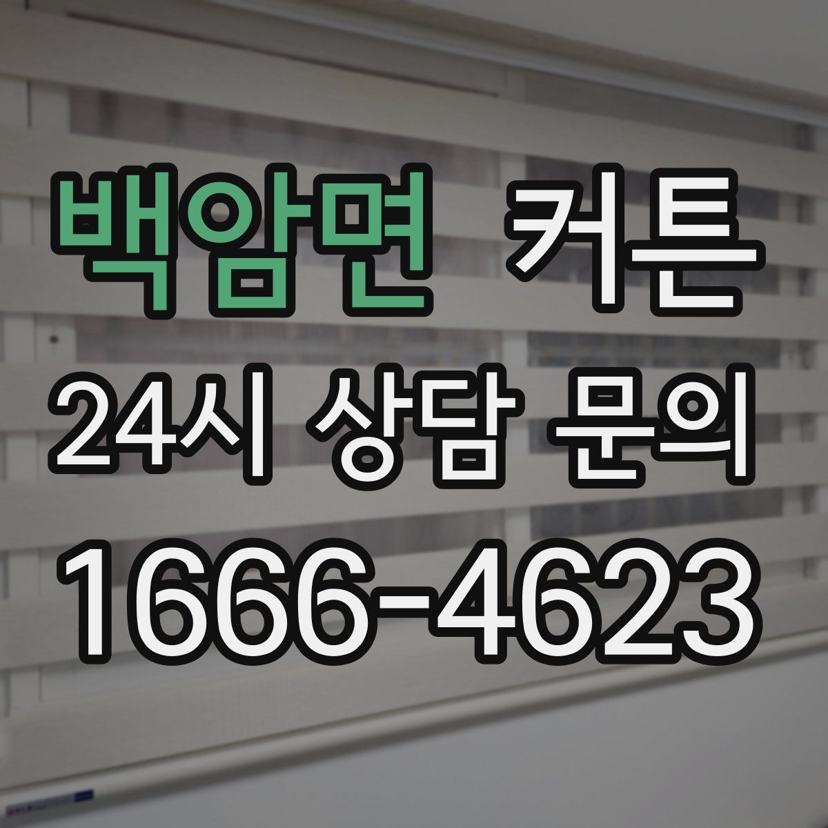 백암면 커튼