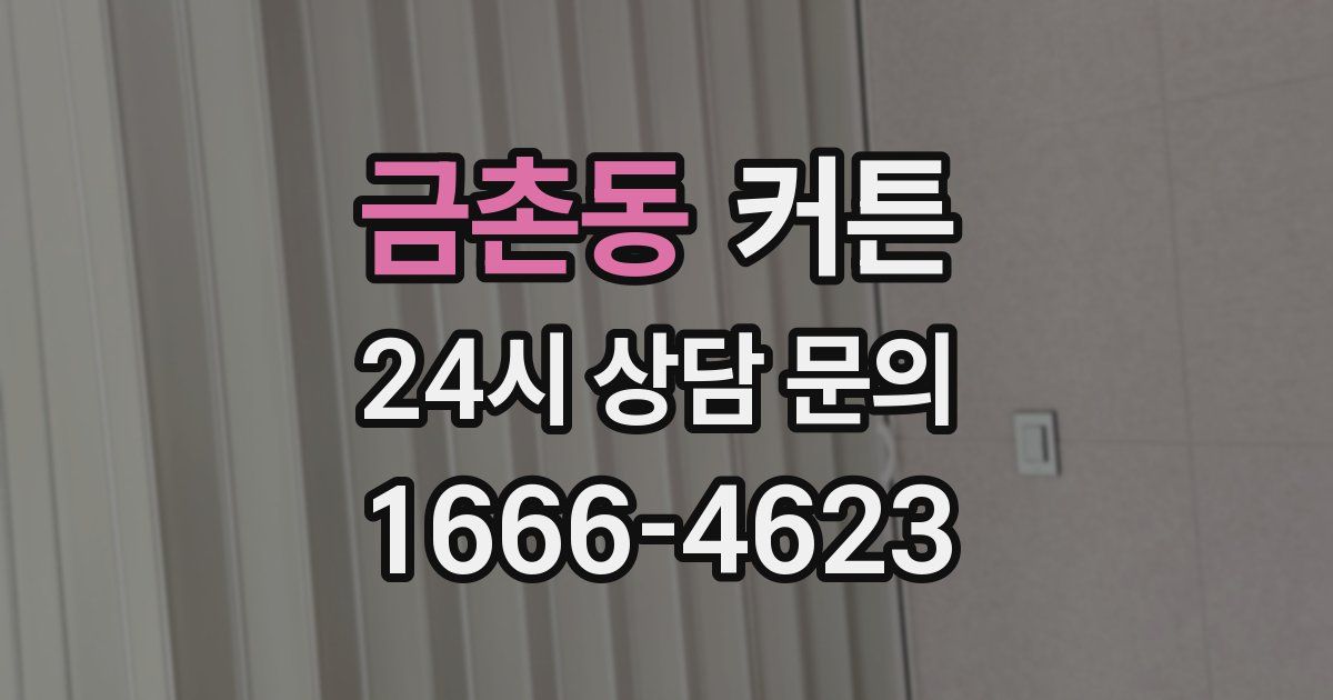 금촌동 커튼