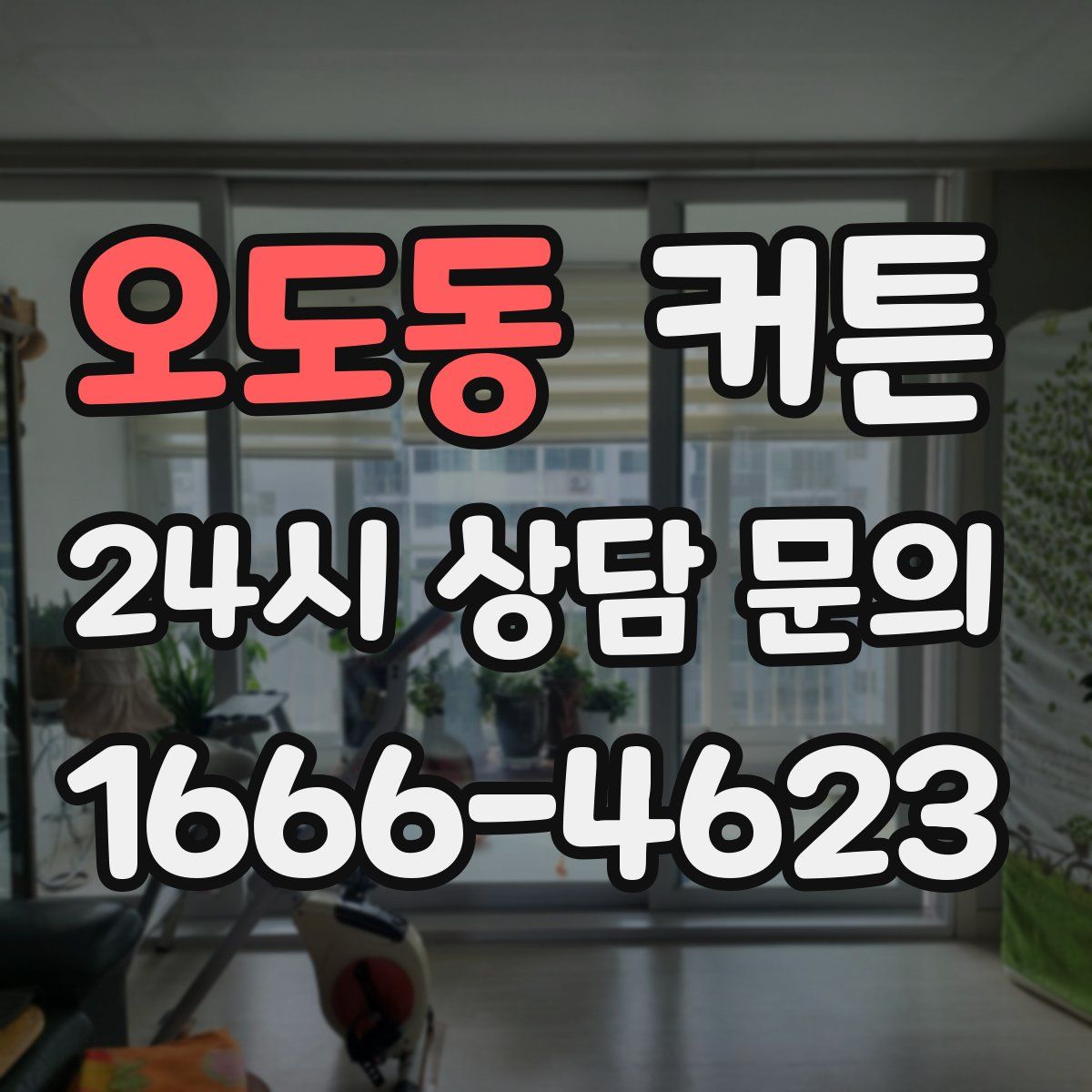 오도동 커튼