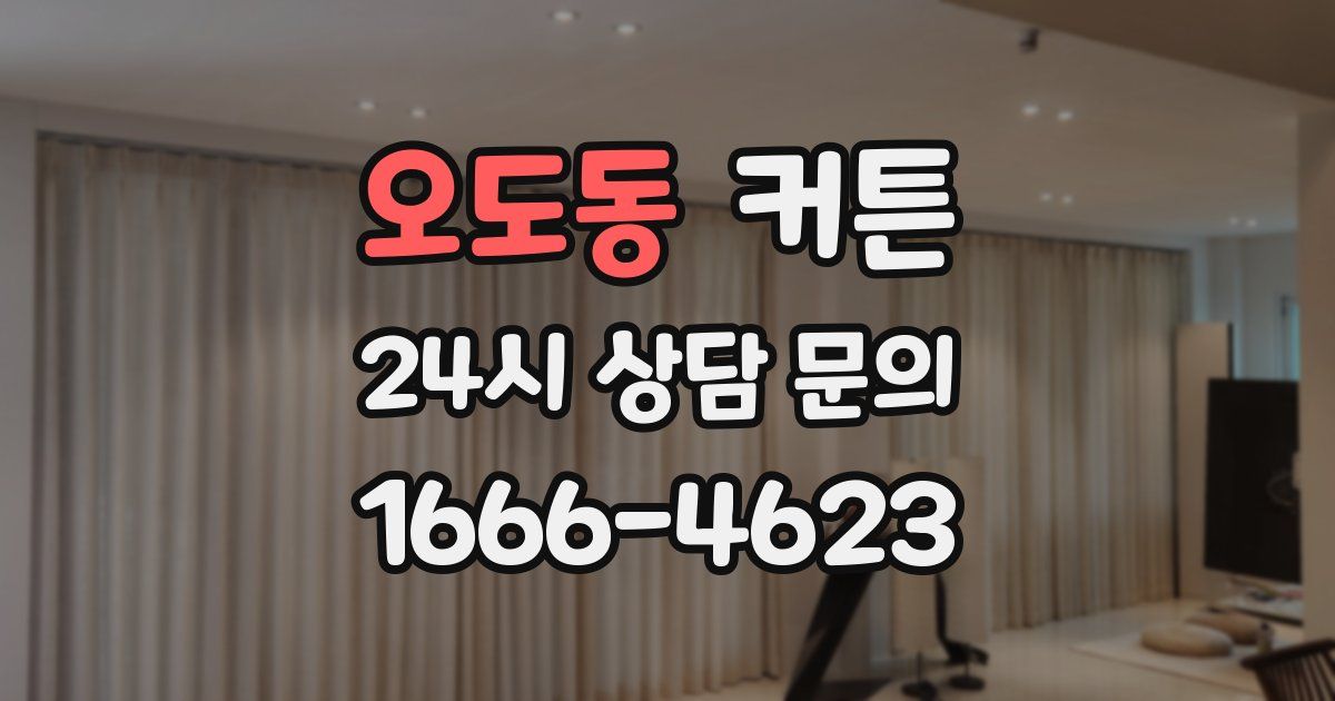 오도동 커튼