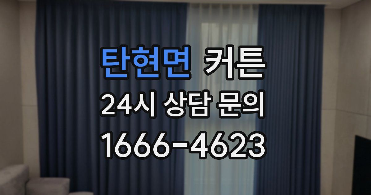 탄현면 커튼