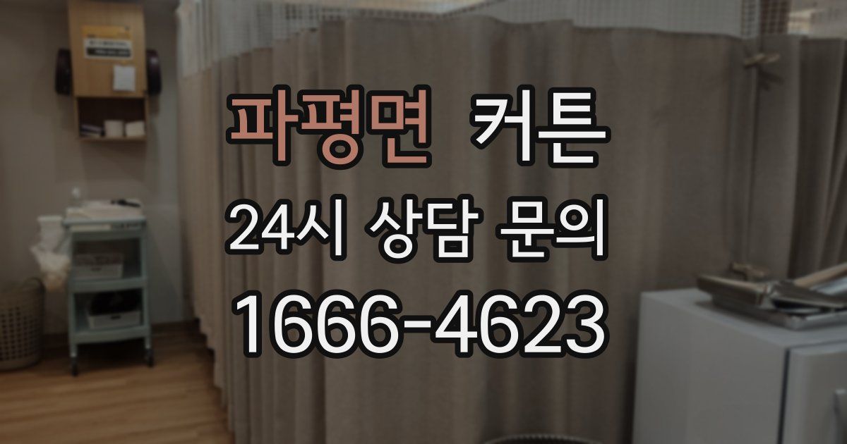 파평면 커튼