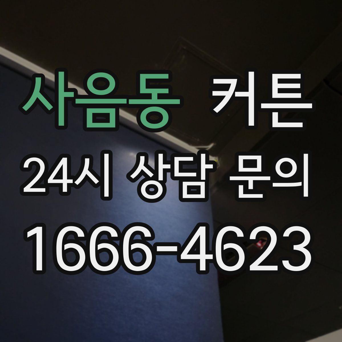 사음동 커튼