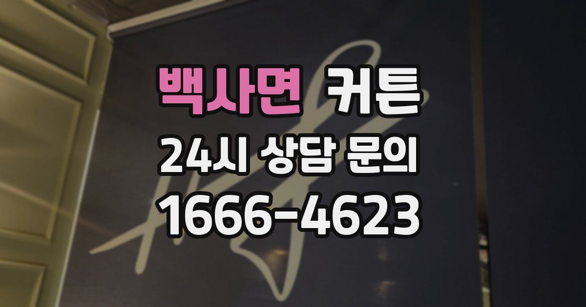 백사면 커튼