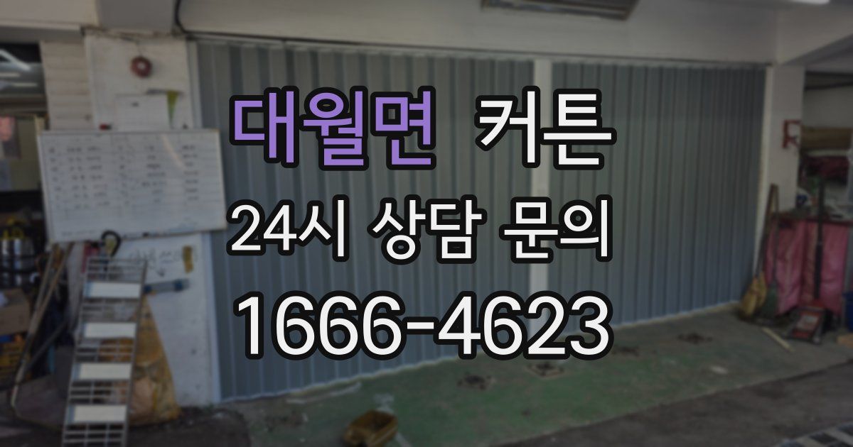 대월면 커튼