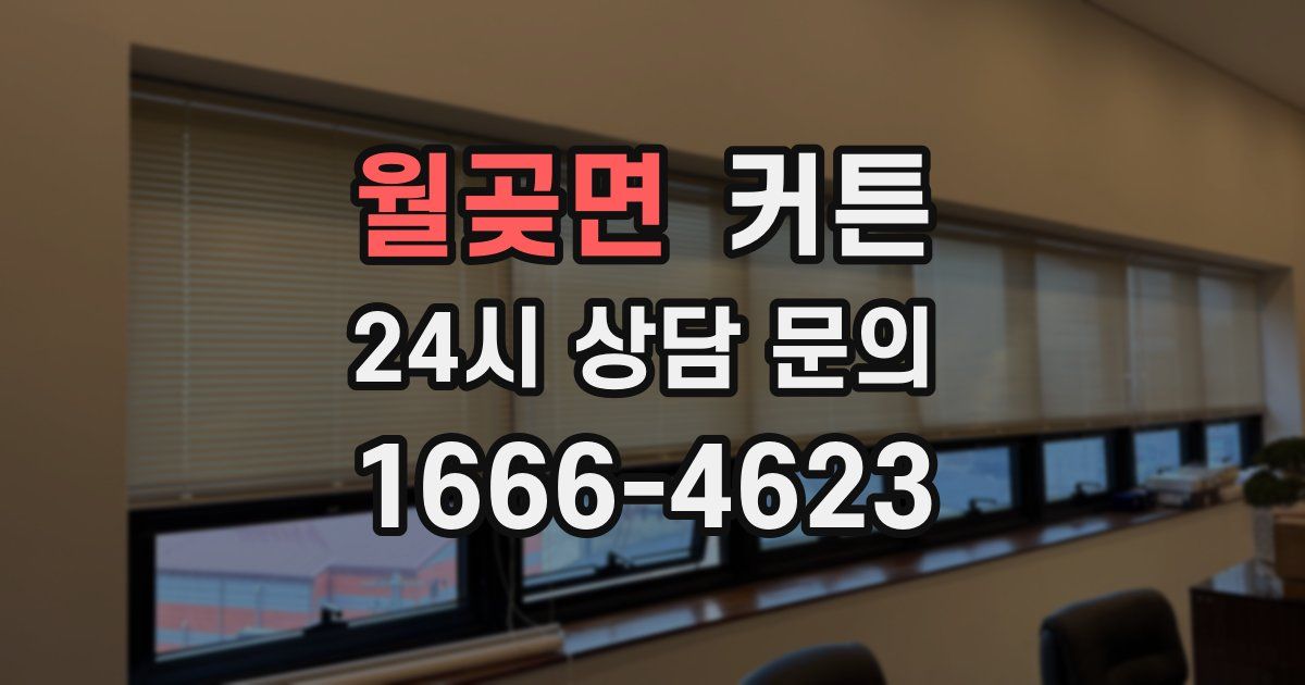 월곶면 커튼