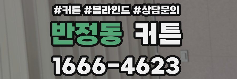 반정동 커튼