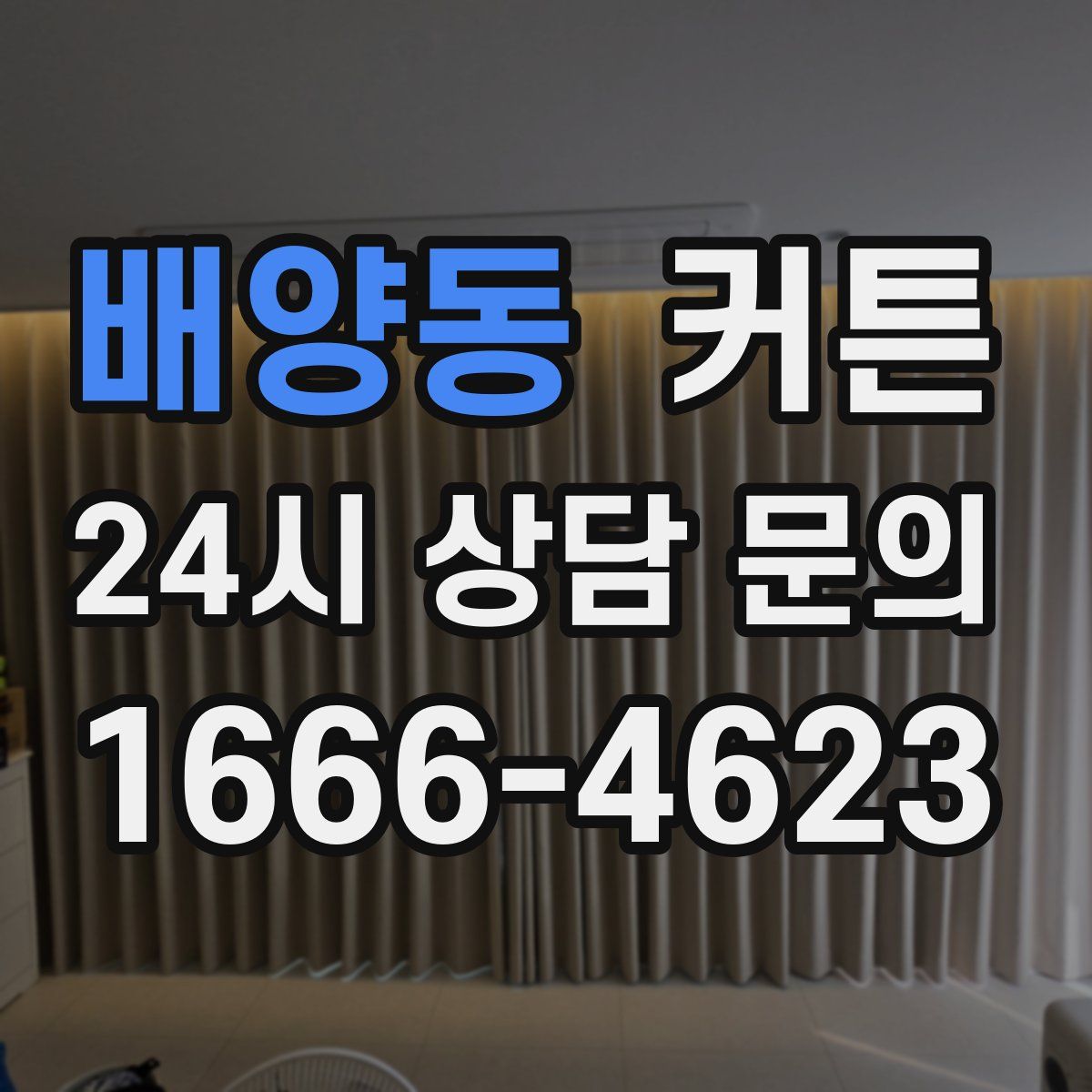 배양동 커튼