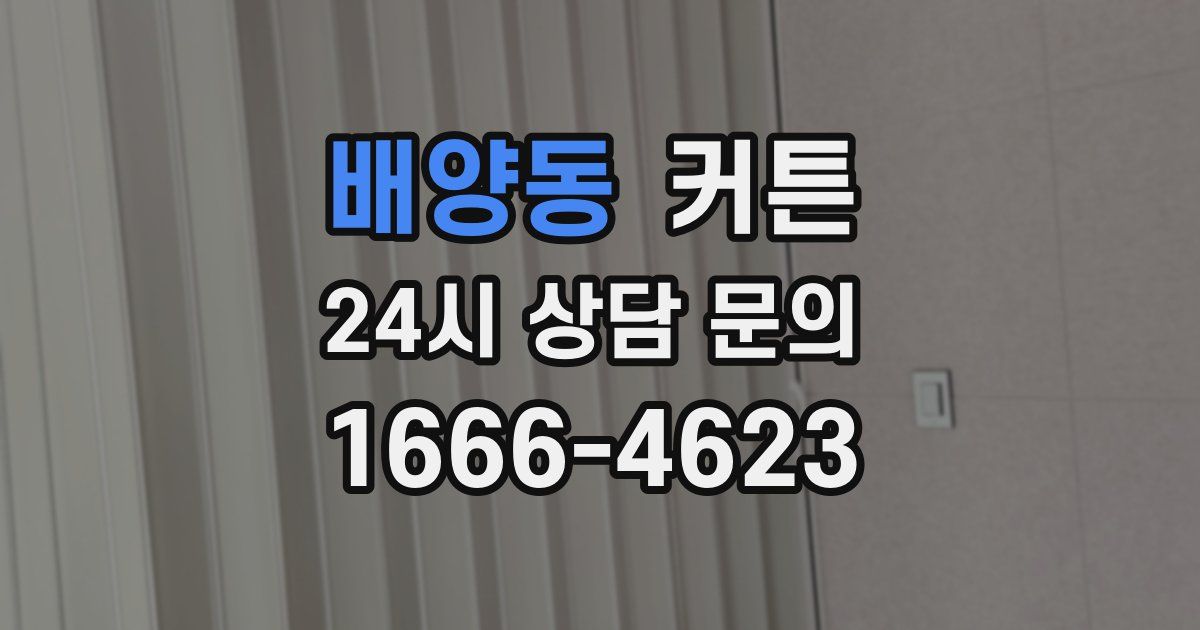 배양동 커튼