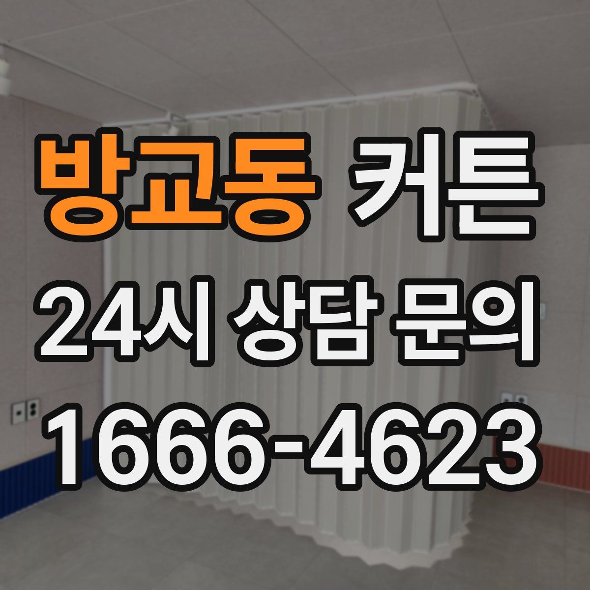 방교동 커튼