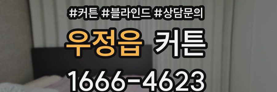 우정읍 커튼