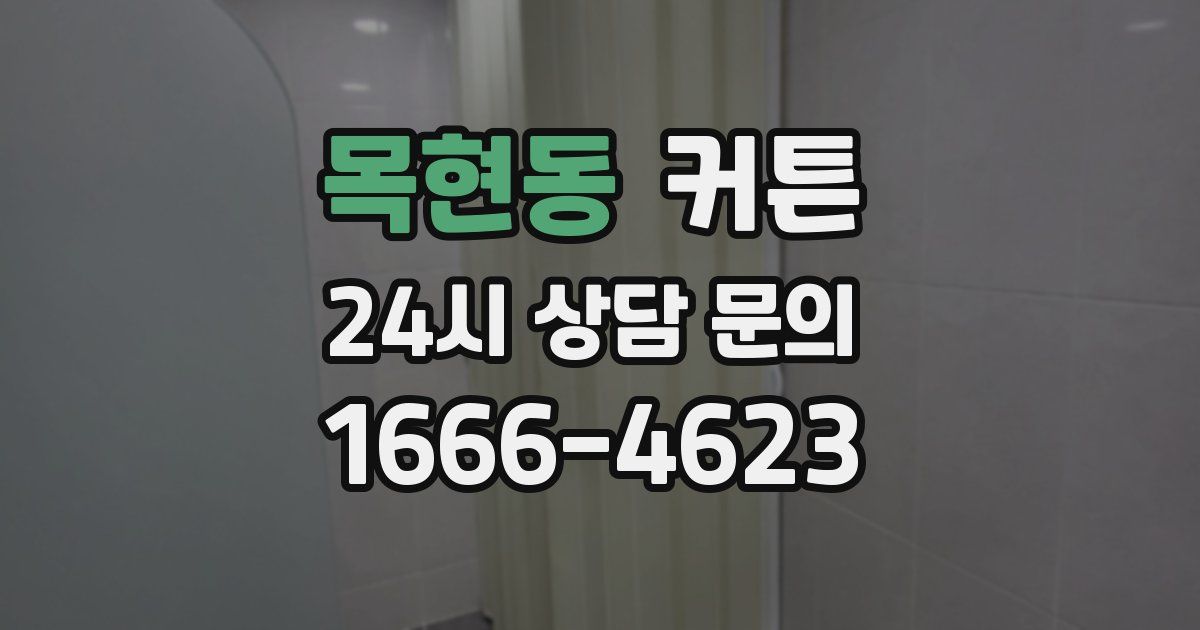 목현동 커튼