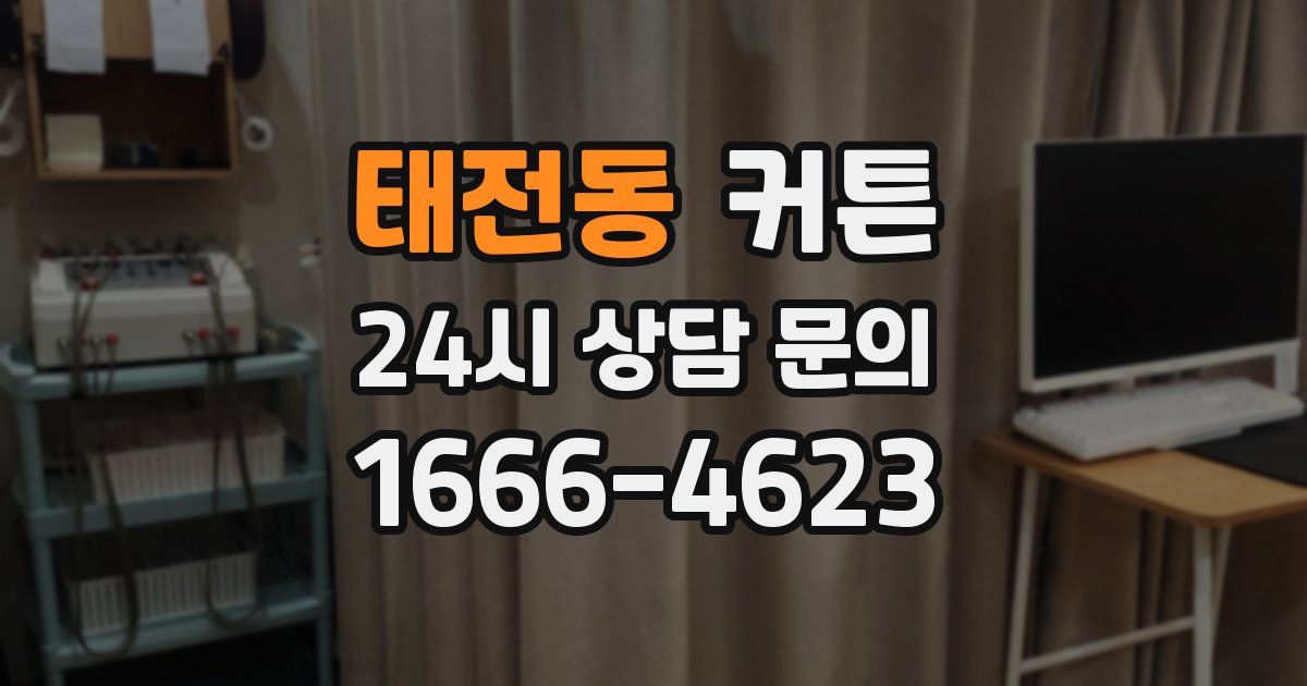 태전동 커튼