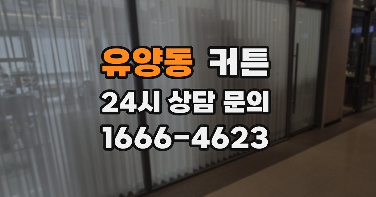 유양동 커튼