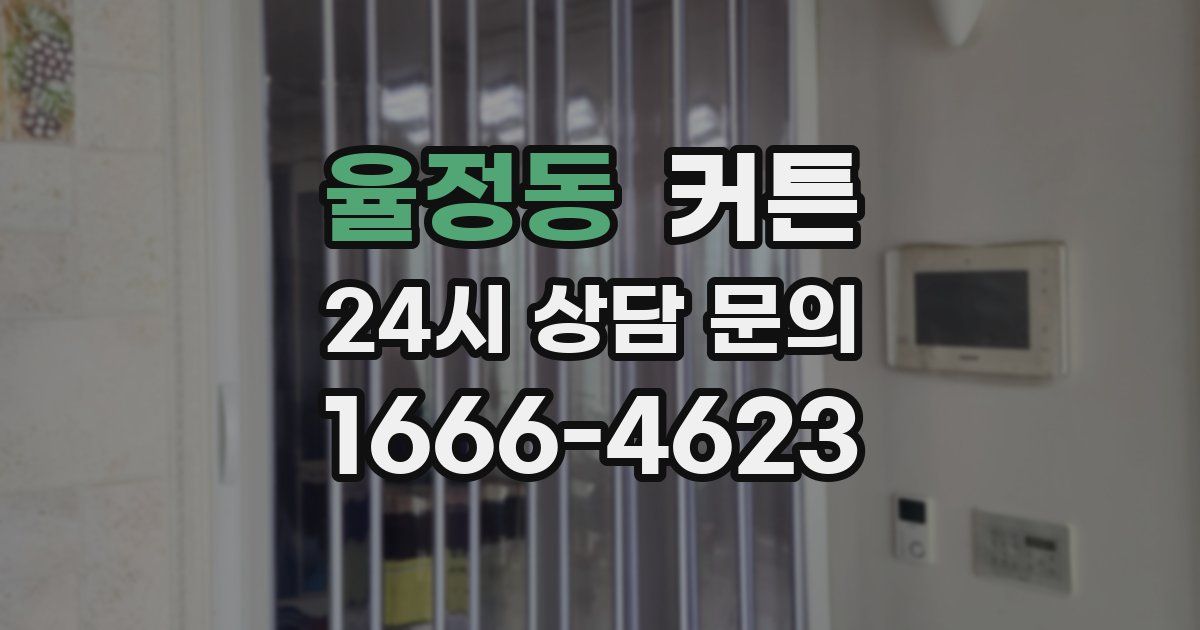 율정동 커튼