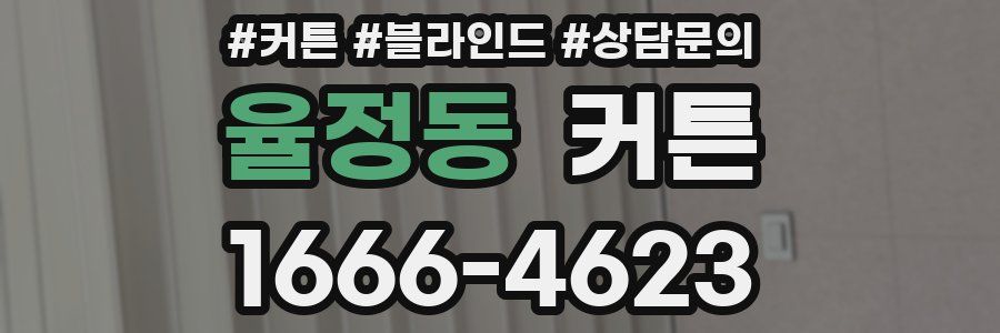 율정동 커튼