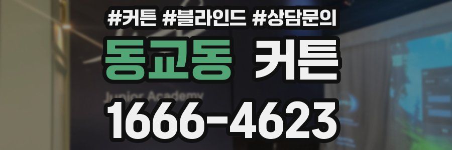 동교동 커튼