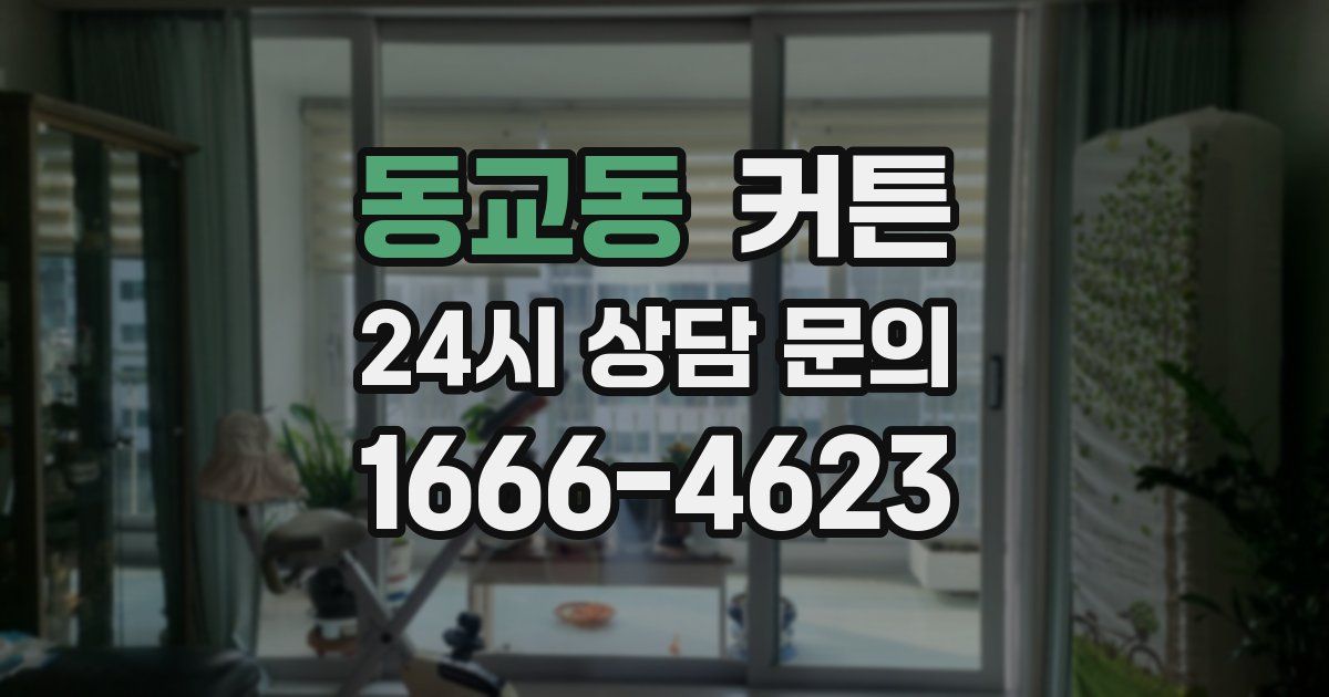 동교동 커튼