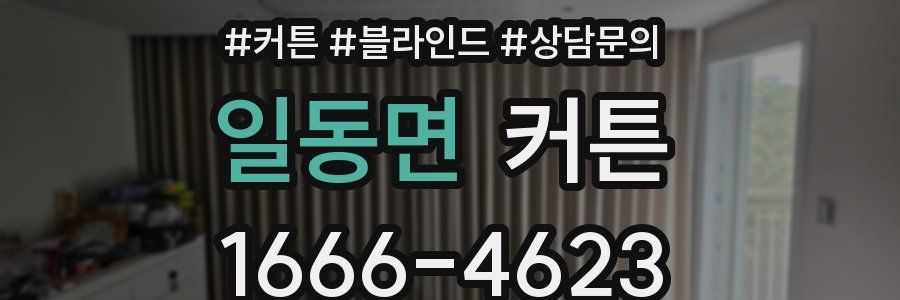 일동면 커튼