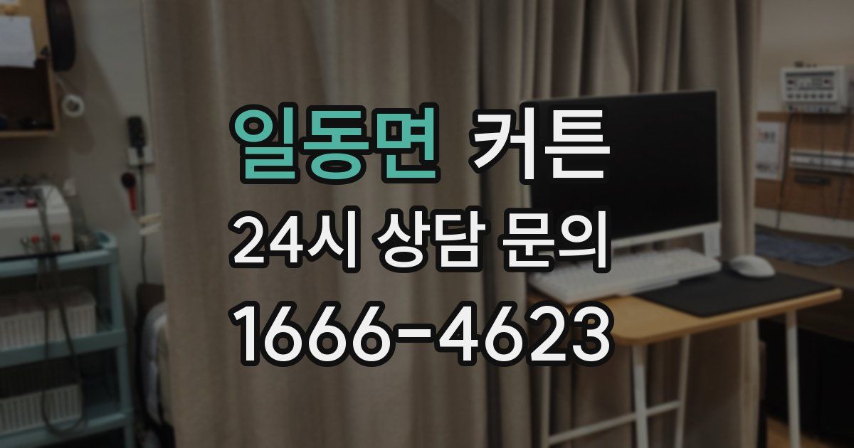 일동면 커튼