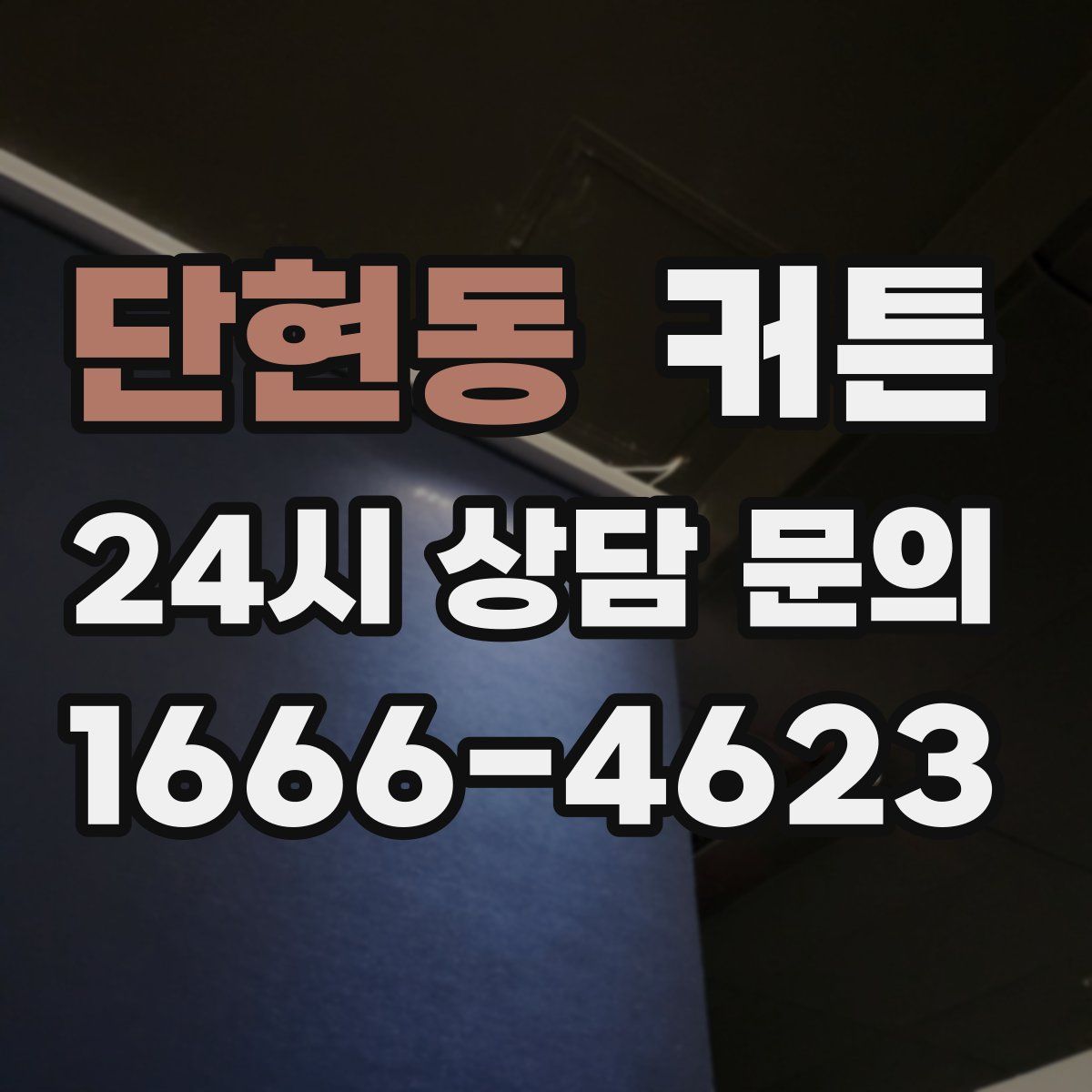 단현동 커튼