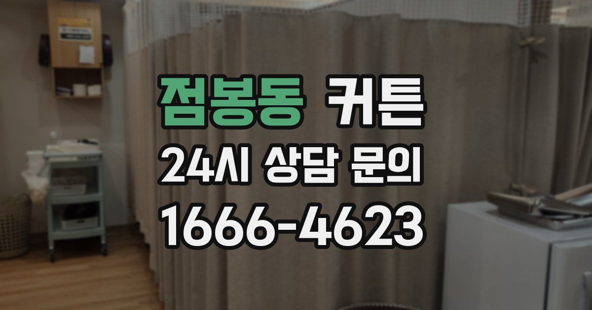점봉동 커튼