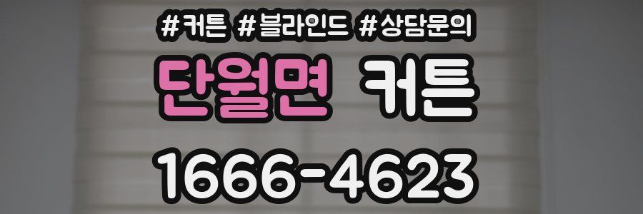 단월면 커튼